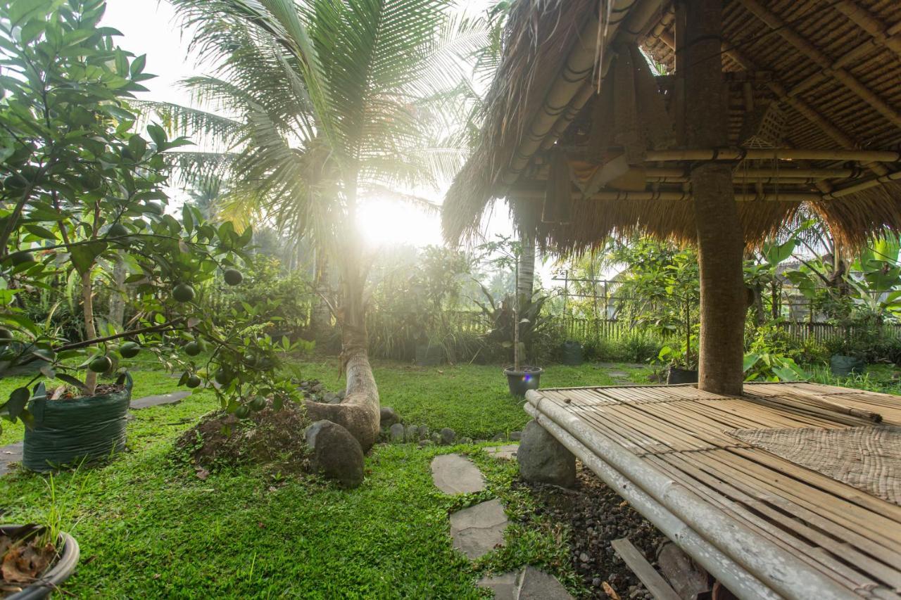 Ubud Luwih Nature Retreat Extérieur photo
