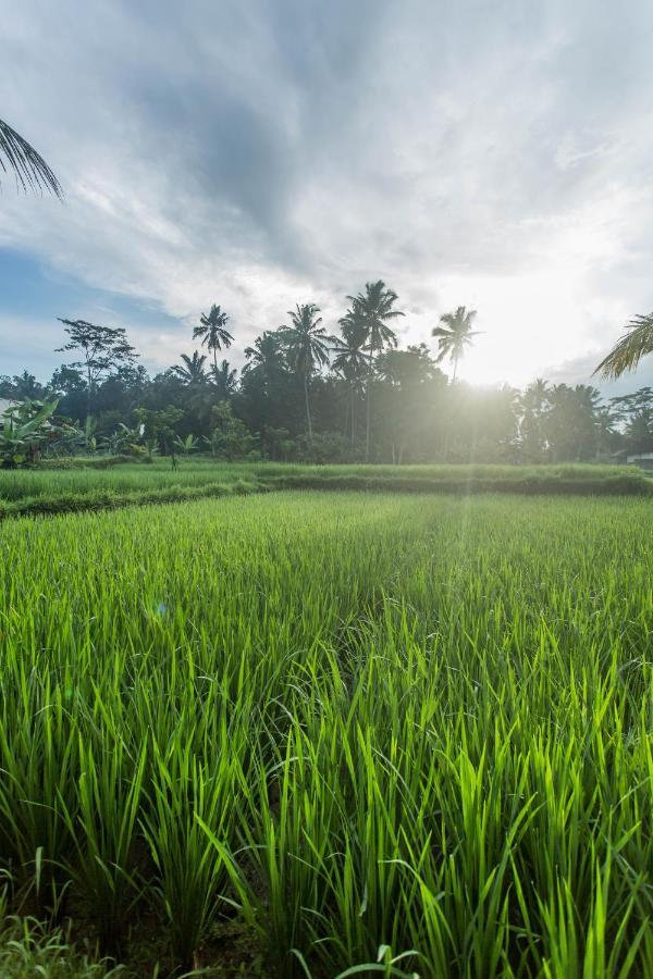 Ubud Luwih Nature Retreat Extérieur photo