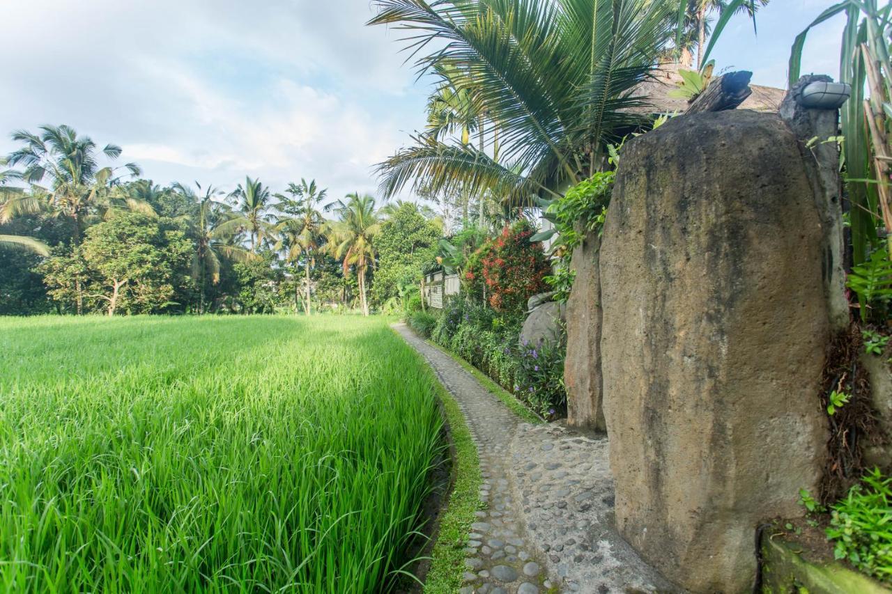 Ubud Luwih Nature Retreat Extérieur photo